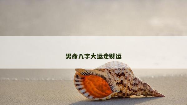 男命八字大运走财运