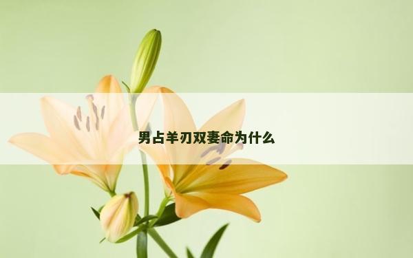 男占羊刃双妻命为什么