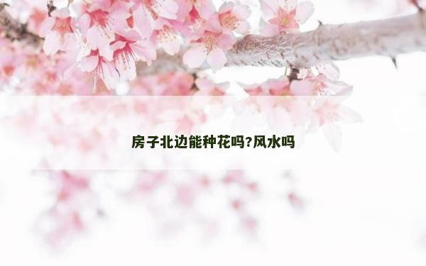 房子北边能种花吗?风水吗