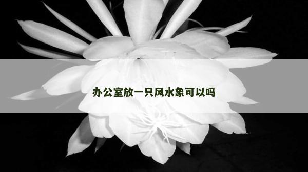 办公室放一只风水象可以吗