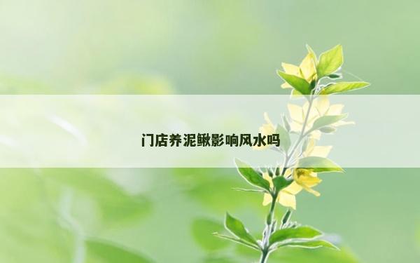 门店养泥鳅影响风水吗