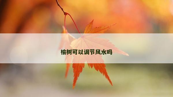 榆树可以调节风水吗