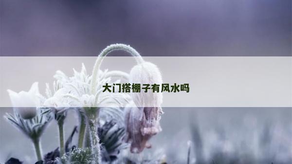 大门搭棚子有风水吗