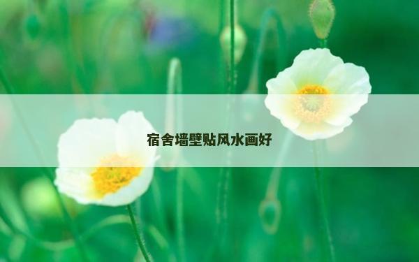 宿舍墙壁贴风水画好