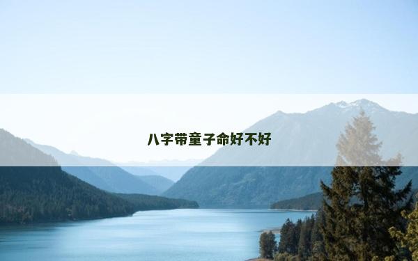 八字带童子命好不好