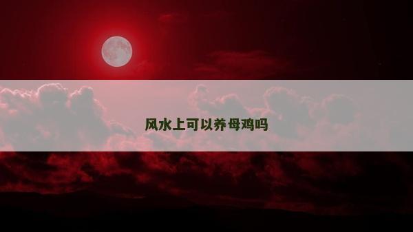 风水上可以养母鸡吗