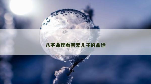 八字命理看有无儿子的命运