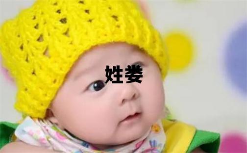 姓娄叫什么名字好 姓娄的男孩有涵养的名字