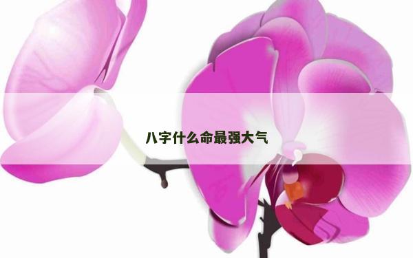 八字什么命最强大气