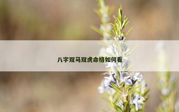 八字双马双虎命格如何看