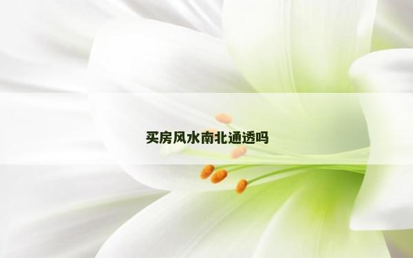 买房风水南北通透吗