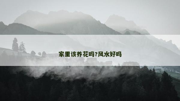家里该养花吗?风水好吗