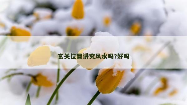 玄关位置讲究风水吗?好吗