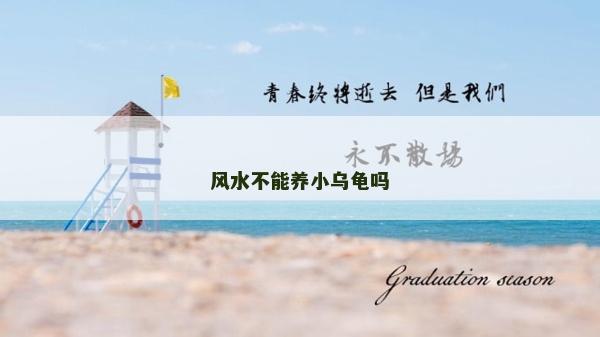 风水不能养小乌龟吗