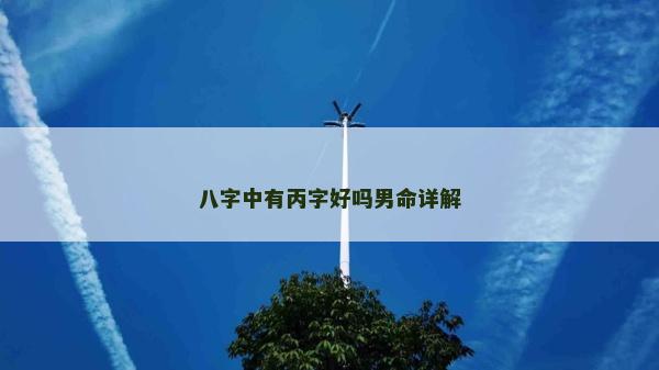 八字中有丙字好吗男命详解