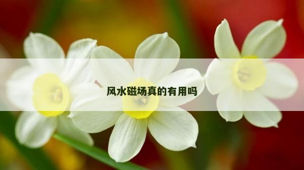 风水磁场真的有用吗