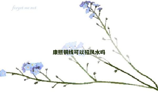 康熙铜线可以招风水吗