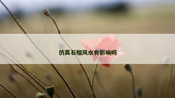 仿真石榴风水有影响吗