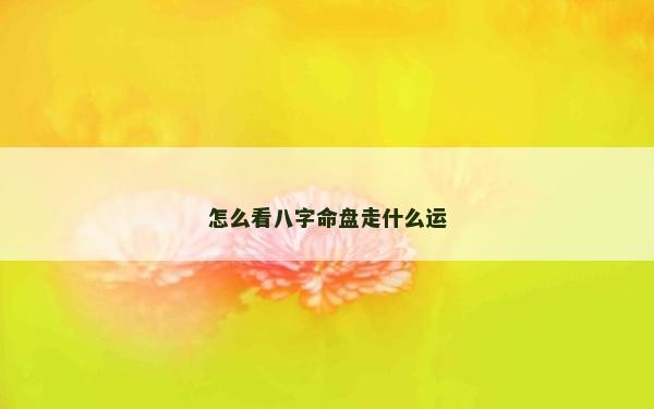 怎么看八字命盘走什么运
