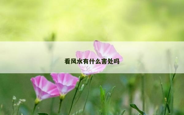 看风水有什么害处吗