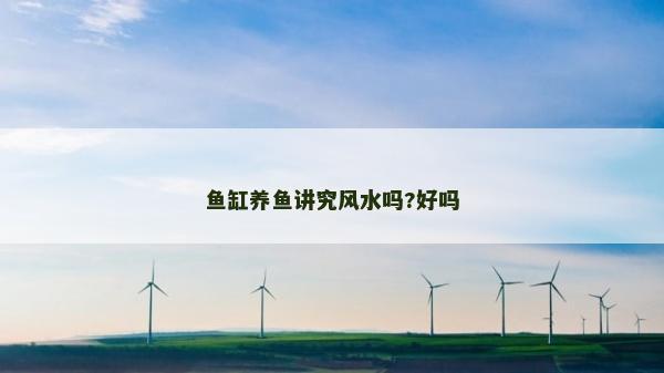 鱼缸养鱼讲究风水吗?好吗