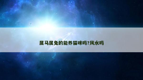 属马属兔的能养猫咪吗?风水吗