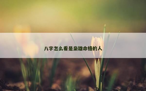 八字怎么看是枭雄命格的人