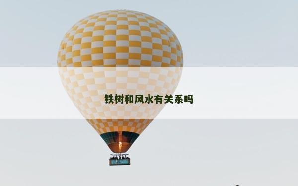 铁树和风水有关系吗