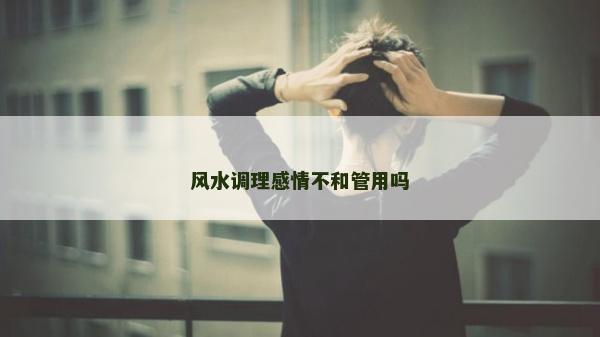 风水调理感情不和管用吗