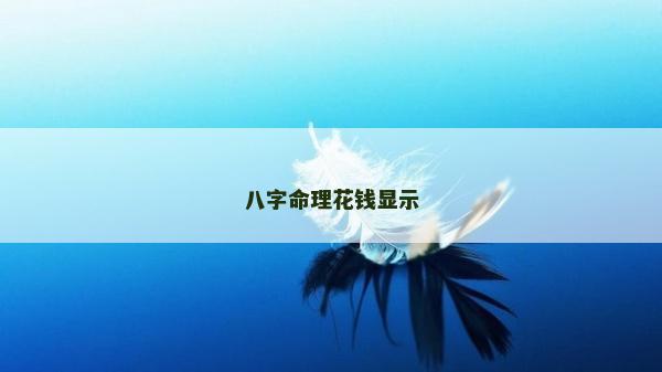 八字命理花钱显示