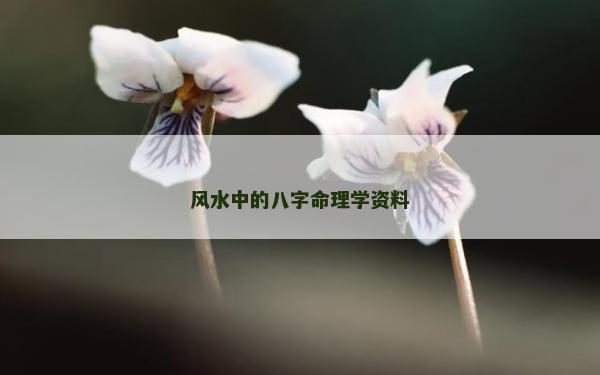 风水中的八字命理学资料