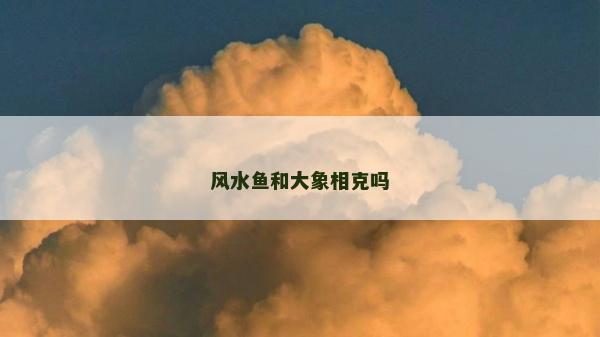 风水鱼和大象相克吗