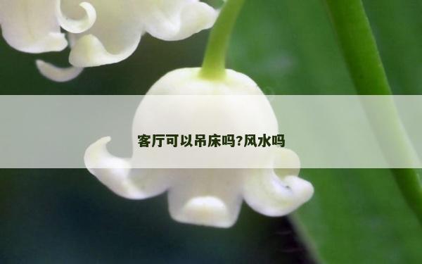 客厅可以吊床吗?风水吗