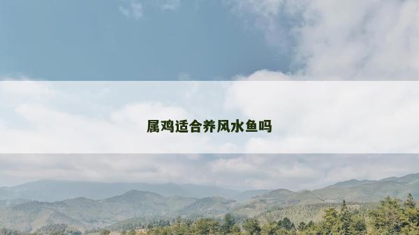 属鸡适合养风水鱼吗