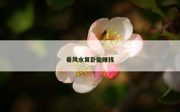 看风水算卦能赚钱