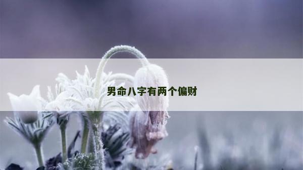 男命八字有两个偏财