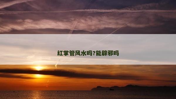 红掌管风水吗?能辟邪吗
