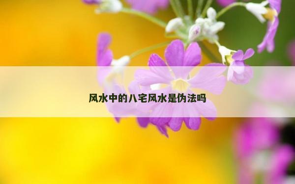 风水中的八宅风水是伪法吗