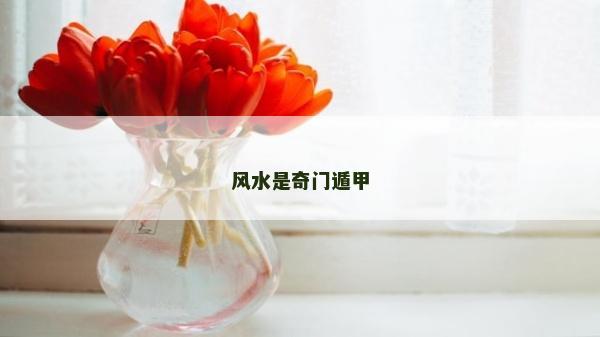 风水是奇门遁甲