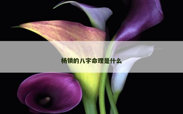 杨锁的八字命理是什么