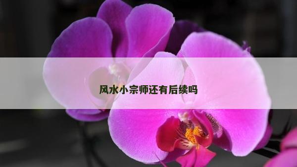 风水小宗师还有后续吗