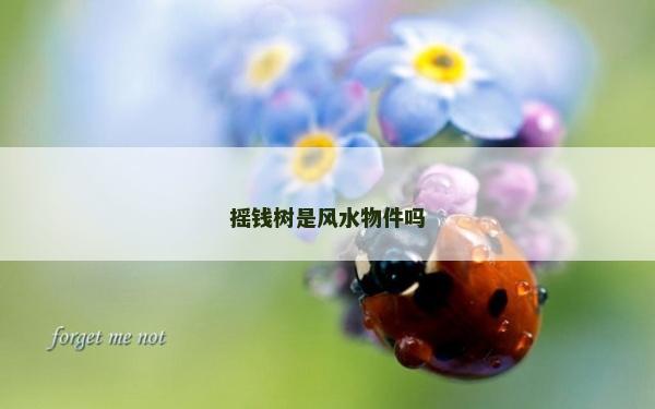 摇钱树是风水物件吗