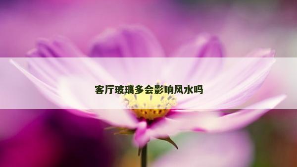 客厅玻璃多会影响风水吗
