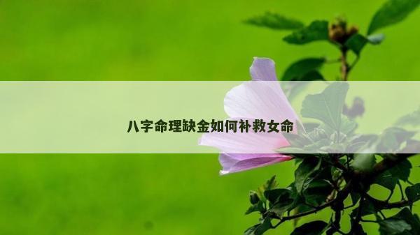八字命理缺金如何补救女命