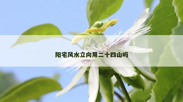 阳宅风水立向用二十四山吗