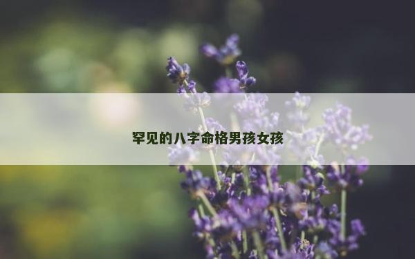 罕见的八字命格男孩女孩