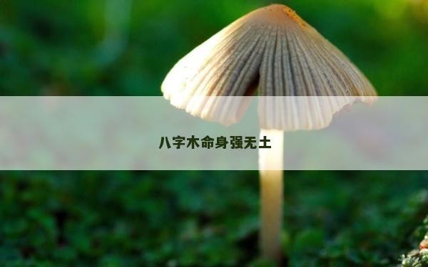 八字木命身强无土