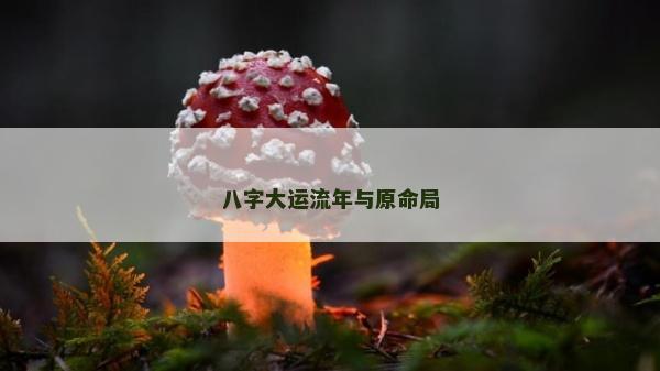 八字大运流年与原命局