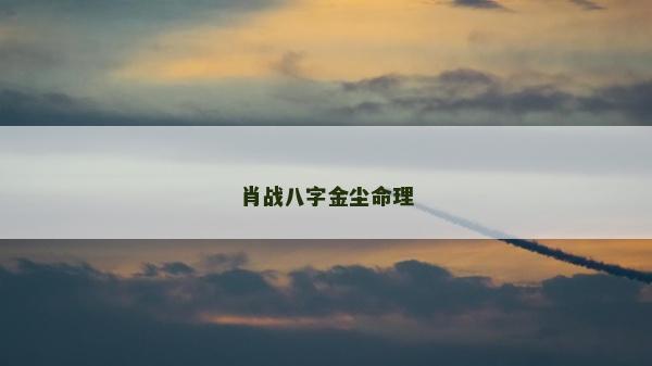 肖战八字金尘命理