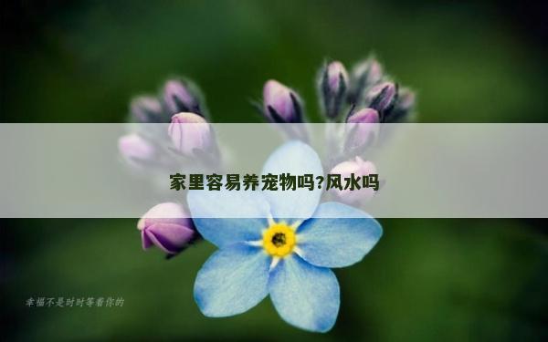 家里容易养宠物吗?风水吗